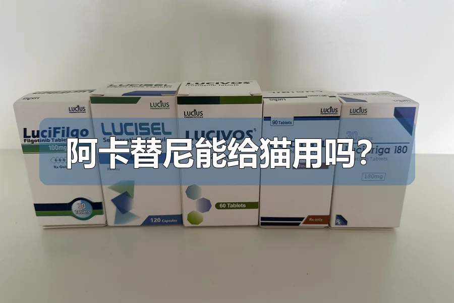 阿卡替尼能给猫用吗?