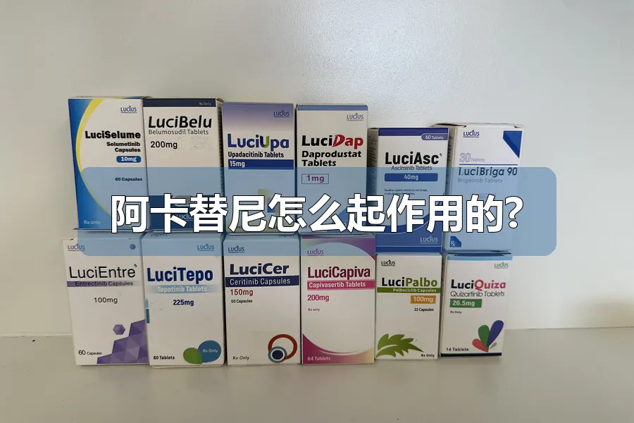 阿卡替尼怎么起作用的?